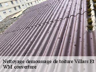 Nettoyage demoussage de toiture  21140
