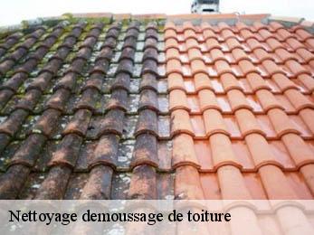 Nettoyage demoussage de toiture