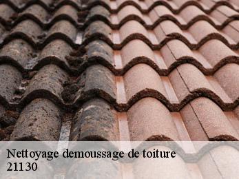 Nettoyage demoussage de toiture 21130