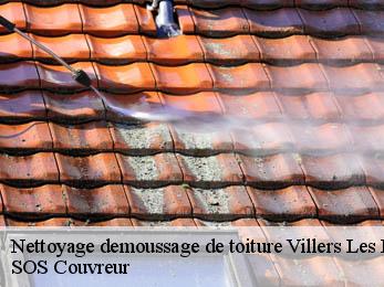 Nettoyage demoussage de toiture 21130