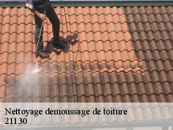 Nettoyage demoussage de toiture