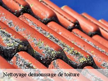Nettoyage demoussage de toiture 21130