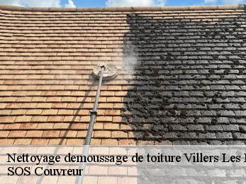 Nettoyage demoussage de toiture