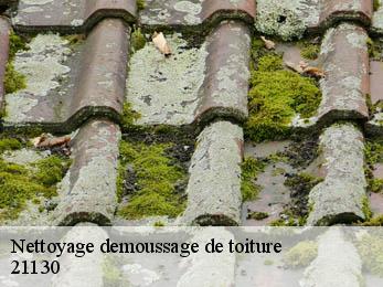 Nettoyage demoussage de toiture 21130