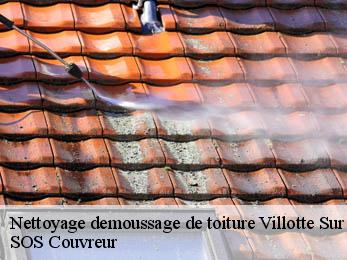 Nettoyage demoussage de toiture 21400