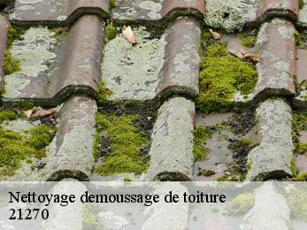 Nettoyage demoussage de toiture 21270