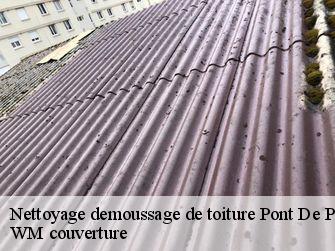 Nettoyage demoussage de toiture 21410