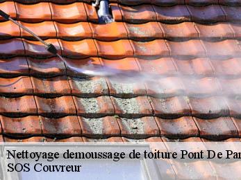 Nettoyage demoussage de toiture  21410