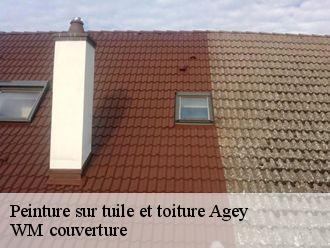 Peinture sur tuile et toiture  agey-21410 WM couverture