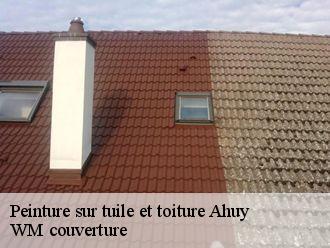 Peinture sur tuile et toiture  ahuy-21121 WM couverture