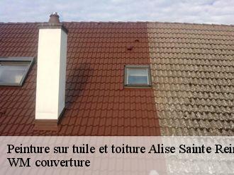 Peinture sur tuile et toiture  alise-sainte-reine-21150 WM couverture