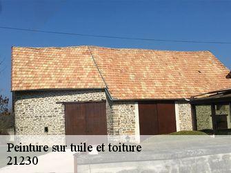 Peinture sur tuile et toiture  21230