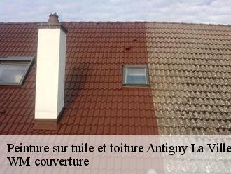Peinture sur tuile et toiture  antigny-la-ville-21230 WM couverture