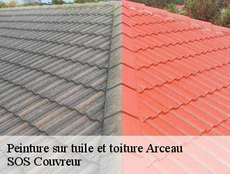 Peinture sur tuile et toiture arceau-21310 SOS Couvreur