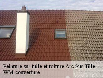 Peinture sur tuile et toiture  arc-sur-tille-21560 WM couverture