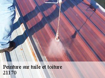Peinture sur tuile et toiture  21170