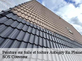 Peinture sur tuile et toiture