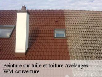 Peinture sur tuile et toiture  avelanges-21120 WM couverture