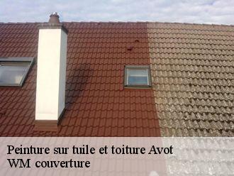 Peinture sur tuile et toiture  avot-21580 WM couverture