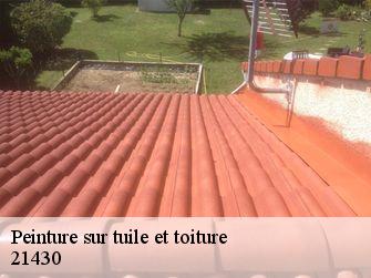 Peinture sur tuile et toiture  21430