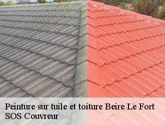 Peinture sur tuile et toiture beire-le-fort-21110 SOS Couvreur