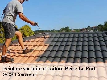 Peinture sur tuile et toiture 21110