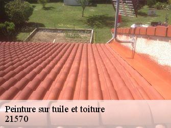 Peinture sur tuile et toiture  21570