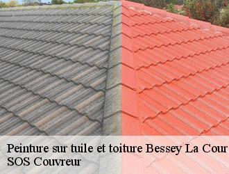 Peinture sur tuile et toiture bessey-la-cour-21360 SOS Couvreur