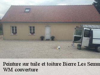Peinture sur tuile et toiture 21390