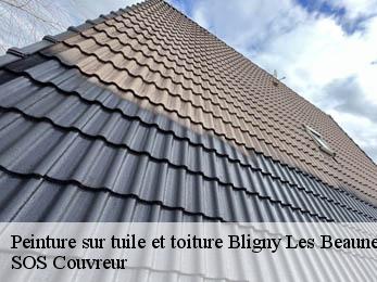 Peinture sur tuile et toiture