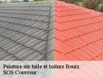 Peinture sur tuile et toiture bouix-21330 SOS Couvreur