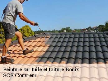 Peinture sur tuile et toiture 21330