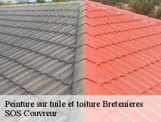 Peinture sur tuile et toiture  bretenieres-21110 SOS Couvreur