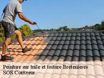Peinture sur tuile et toiture  21110
