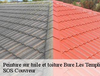 Peinture sur tuile et toiture  bure-les-templiers-21290 SOS Couvreur