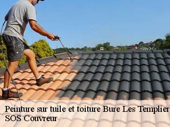 Peinture sur tuile et toiture  21290