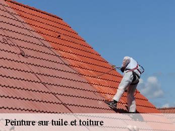 Peinture sur tuile et toiture