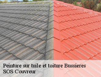 Peinture sur tuile et toiture bussieres-21580 SOS Couvreur
