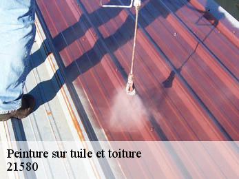 Peinture sur tuile et toiture 21580