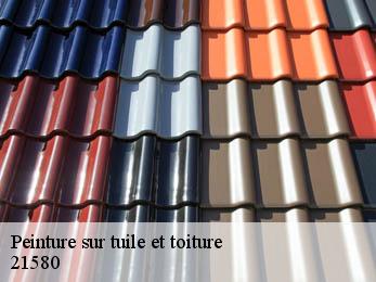 Peinture sur tuile et toiture