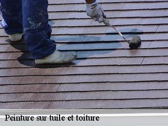 Peinture sur tuile et toiture 21580