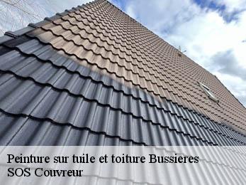 Peinture sur tuile et toiture