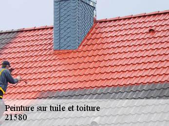 Peinture sur tuile et toiture 21580