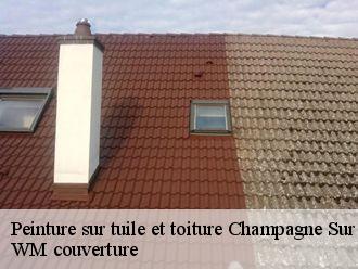Peinture sur tuile et toiture  champagne-sur-vingeanne-21310 WM couverture