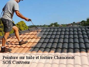 Peinture sur tuile et toiture 21440