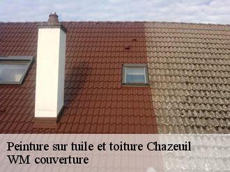 Peinture sur tuile et toiture  chazeuil-21260 WM couverture