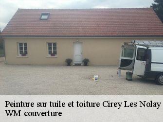 Peinture sur tuile et toiture 21340