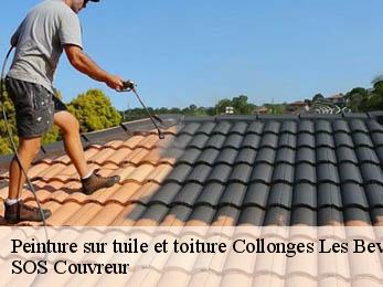 Peinture sur tuile et toiture 21220