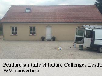 Peinture sur tuile et toiture  21110