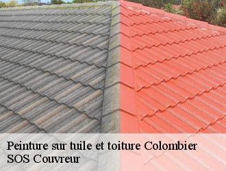 Peinture sur tuile et toiture colombier-21360 SOS Couvreur